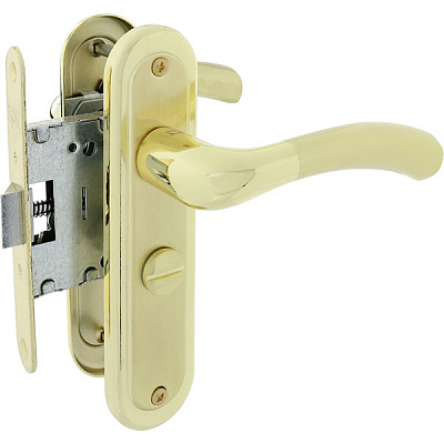 Комплект RDA Siena WC ручка на планці + механізм 258 полірована латунь/матова латунь