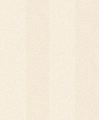 Шпалери вінілові на паперовій основі Bravo 85023BR23 0,53x10,05 м