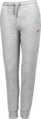 Брюки 4F HJL20-JSPDD001-25M р. 152 серый