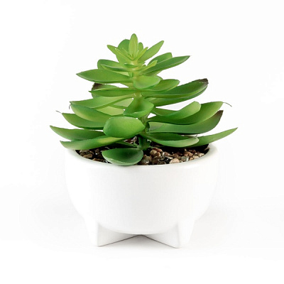 Растение декоративное DH-FLOWERS-14 M GREEN/WHITE MVM