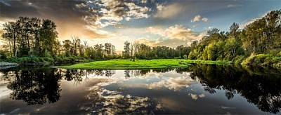 Репродукция Природа 150x60 см Styler 