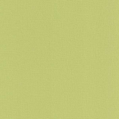 Rasch Funky Flair 721973 0.53x10.05 м