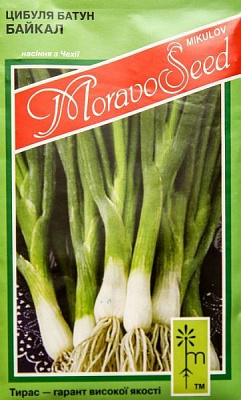 Насіння MoravoSeeds цибуля-батун Байкал 2г