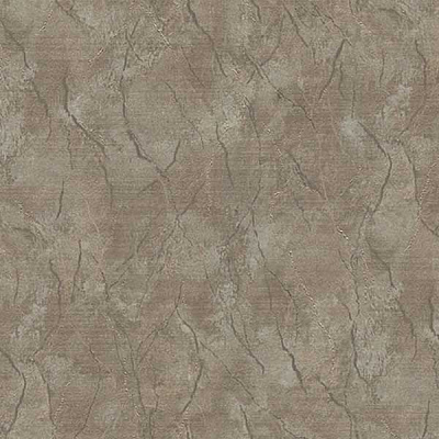 Шпалери Vinil Арона ТФШ9-1279