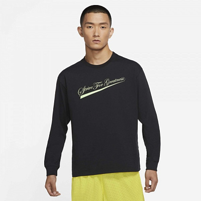 Футболка Nike LBJ M NK LION LS MAX90 TEE DM2464-010 р.3XL черный