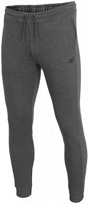 Брюки 4F H4Z19-SPMD001-23M р. 2XL серый