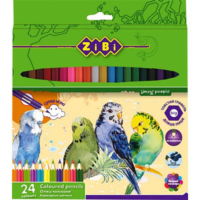 Олівці кольорові Soft ZB.2412 24 шт. ZiBi