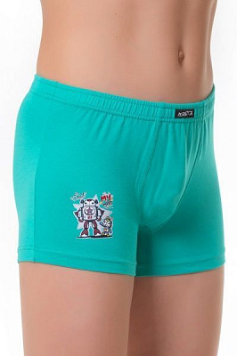 Трусы-шорты для мальчиков KOSTA арт. 0044-6 р.134-140 зеленый 