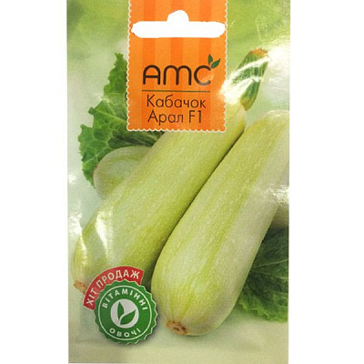 Насіння Hollar Seeds Кабачка Арал Ф1