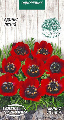 Насіння Семена Украины адоніс літній 766400 1 г