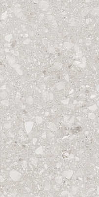 Плитка Allore Group Terra Beige F P R Mat 60x120 см