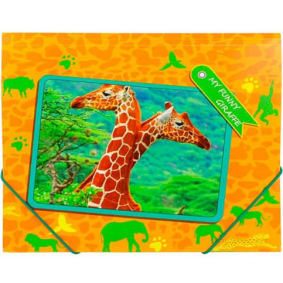 Папка MY Funny CF31642 Cool For School