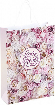 Пакет бумажный Present 33х23х8 см