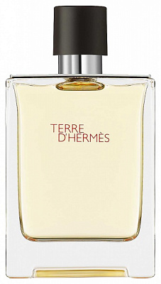 Туалетна вода Hermes Terre D'Hermes 100 мл