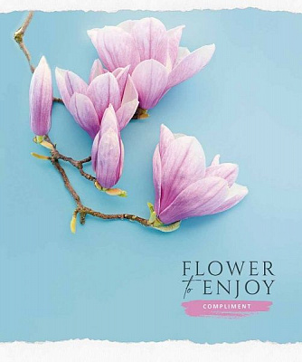 Тетрадь школьная B5 60 листов в клеточку STAR