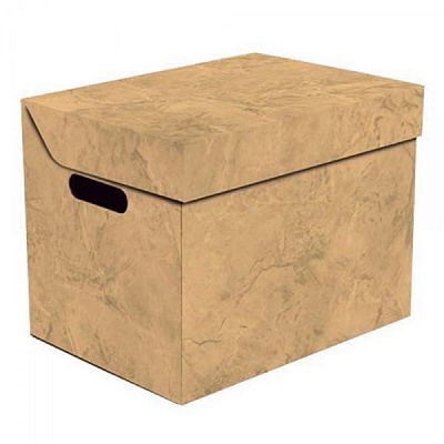 Ящик картонний Global-Pak 00049.3 помаранчевий 250x340 мм