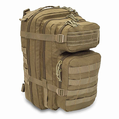 Рюкзак Elite Bags Military Тактический Tactical C2 (30л)
