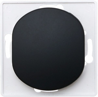 Вимикач прохідний одноклавішний Aling-Conel Eon без підсвітки 10 А 250В чорний E607.E1