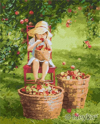 Картина по номерам Яблочки 40х50 см Идейка 