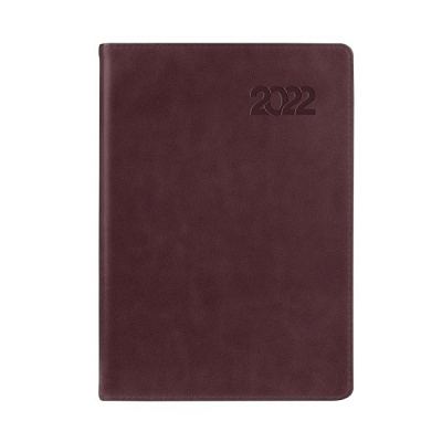 Щоденник датований бордовий Leo Planner Case A5 2022