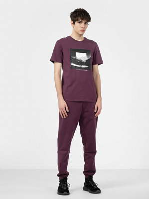 Штани 4F TROUSERS CAS M511 4FAW22TTROM511-60S р. M коричневий