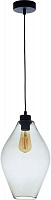 Светильник подвесной TK Lighting TULON 1x60 Вт E27 черный 4190 