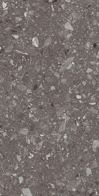 Плитка Allore Group Terra Anthracite F P R Mat 60x120 см