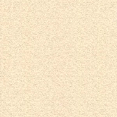 Едем Статус 9039-13 1.06x10.05 м