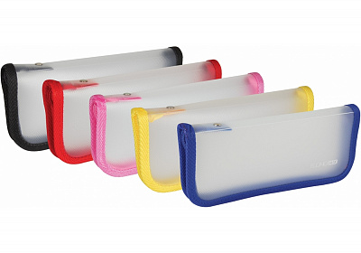 Пенал школьный DLE31646 Economix в ассортименте