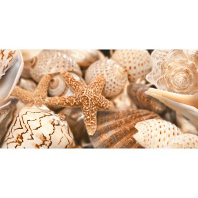 Декор Golden Tile Sea Breeze Shells 1 бежевый Е11411 300x600 мм