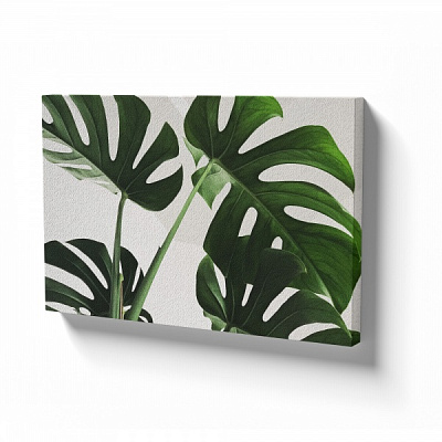 Картина на холсте Листья монстеры 110x80 см WS Holst 14082212 
