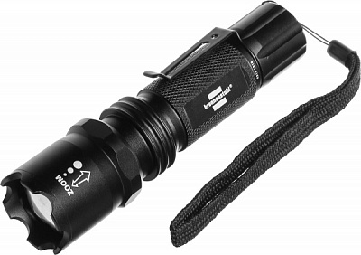 Фонарик Brennenstuhl TL 250F черный 