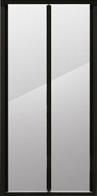 Душевые двери Bravat Black Line 100х200 см