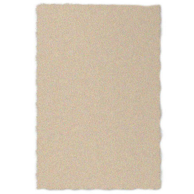 Килим Аквіла Shaggy Lama 1039-1-33018 0.8x1.5 м