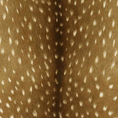 Rasch Black Forest 514827 0.53x10.05 м