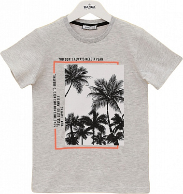 Футболка для мальчиков Wanex 15557 р.128 серый 