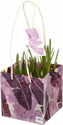 Растение комнатное Нарцисс 7 шт. в сумке Jungle 16х16х16 см красный/рисунок