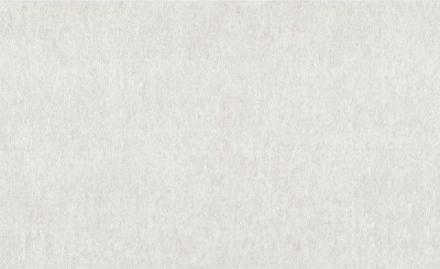 Шпалери вінілові на флізеліновій основі Vinil Аланья стіна VIP 2-1542 1,06x10,05 м