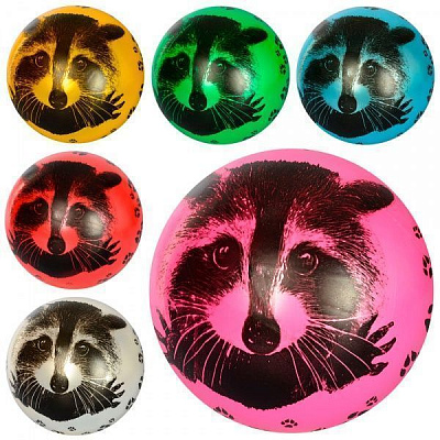 М'яч Єнот (6 видів) в асортименті 23 см MS 1899