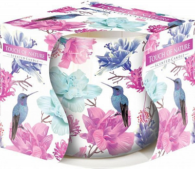 Свеча ароматическая sn71S/49 Прикосновение природы Bispol