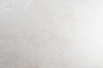 Обои виниловые на флизелиновой основе Vinil Атурина декор ДХС-1476/2 1,06x10,05 м 