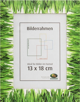 Рамка для фото FN Neuhofer Holz Трава 712605 13х18 см 