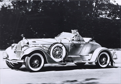 Картина Гепард 100x70 см Styler CA-18499 