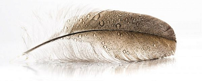 Репродукция Wing 140x45 см Styler 