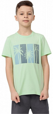 Футболка 4F HJL22-JTSM015-72S р.140 салатовий