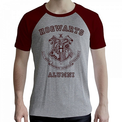 Футболка для хлопчиків WP Merchandise Alumni р.164–170 сірий ABYTEX502S