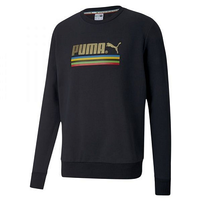 Джемпер Puma TFS Worldhood Crew 59809101 р. M черный