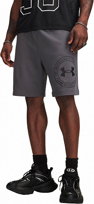Шорты мужские Under Armour UA Rival LW Graphic Shorts 6014689-025 р. S серый