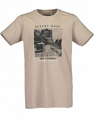 Футболка детские Blue Seven р.140 серый 602769 X_042_р.140 