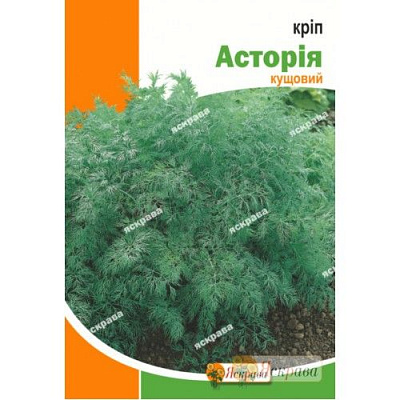 Семена Яскрава укроп кустовой Астория 20 г (4823069913601)